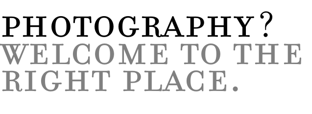 photography london weddings  camera fair vintage cameras